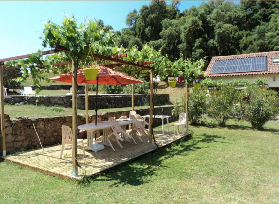 Gites Carbuccia En Corse Avec Piscine Chauffee Экстерьер фото