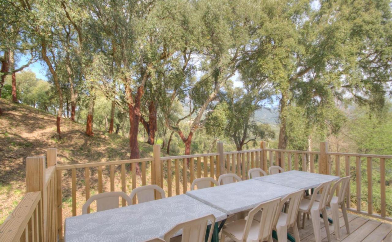 Gites Carbuccia En Corse Avec Piscine Chauffee Экстерьер фото